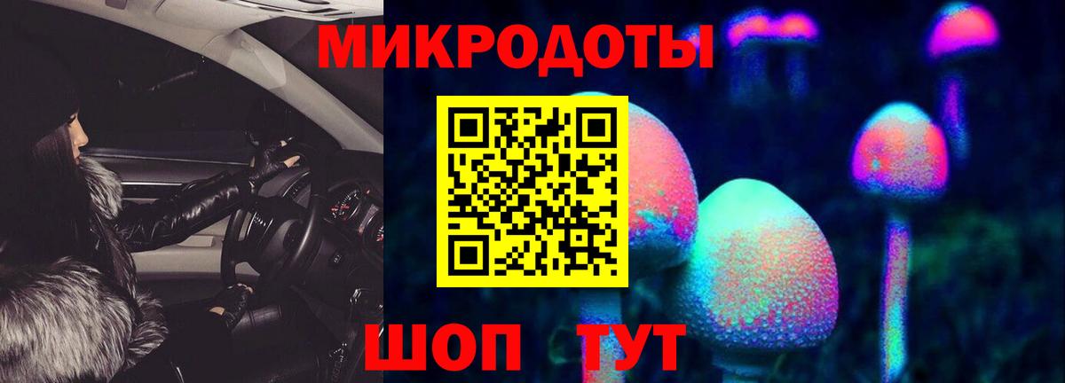 Кинешма  Псилоцибиновые грибы Psilocybe  Вход с VPN  как найти   Галлюциногенные грибы GOLDEN TEACHER 