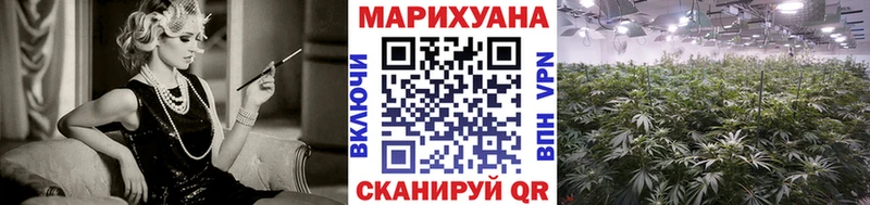 Марихуана сатива  МЕГА онион  Кинешма 